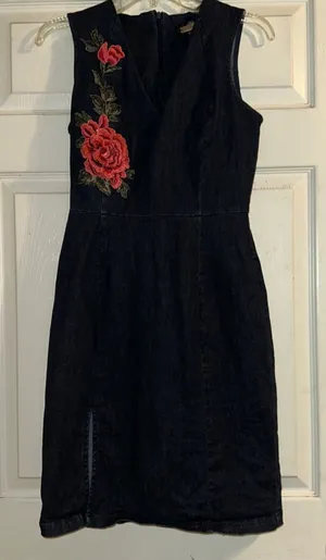 Alexia‎ Admor Sleeveless Denim Mini Dress With Floral Applique V-neck Women's 6 thumbnail 1