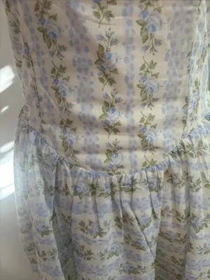 Vintage-Inspired Blue Floral Mini Dress with Cream Trim thumbnail 5