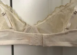 NWOT Crème Su Gold and Cream Mesh Underwired Bra thumbnail 4