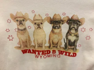 Urban Outfitters t-shirt thumbnail 4
