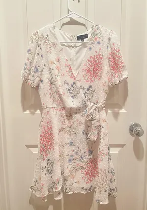 Francesca’s Dress thumbnail 1