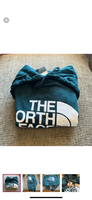 The north face hoodie thumbnail 2