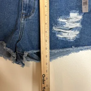 Pacsun Women's High Rise Festival Distressed Denim Shorts Island Blue 29 thumbnail 4