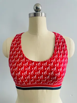 Tommy Hilfiger x Gigi Hadid Collab Sports Bra- Size XL- NWT- Limited Collection thumbnail 1
