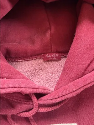 Brandy Melville John Galt Burgundy Boston Hoodie thumbnail 2