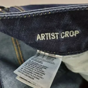American Eagle Outfitters Womens Jeans Size 8 Super Stretch Artist Crop Denim‎ thumbnail 6