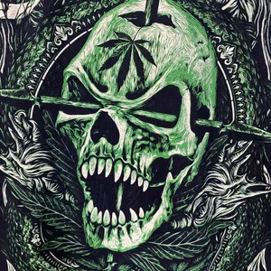 Cypress Hill Skull Graphic Black T-Shirt XXL thumbnail 4