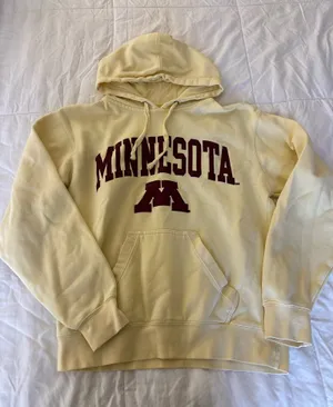 Big Cotton Minnesota Hoodie thumbnail 1