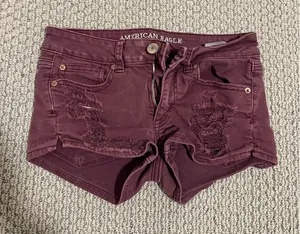American Eagle Shorts thumbnail 1