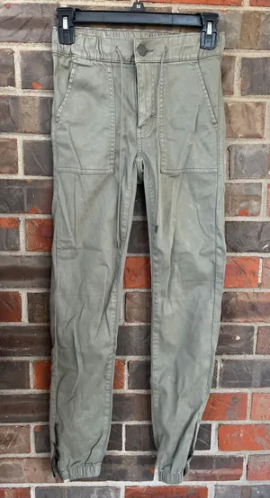 American Eagle Outfitters Jogger Pants thumbnail 1