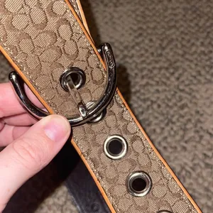 Coach Belt thumbnail 4