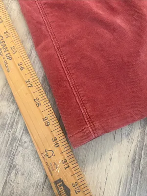 We The Free Pull On Flare Earthy Terracotta Corduroy Pants Size 31 thumbnail 4