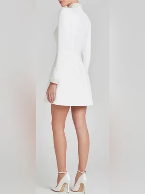 NEW Nadine Merabi White Audrina Athena Beaded Long Sleeve Minidress Sz 6 thumbnail 2