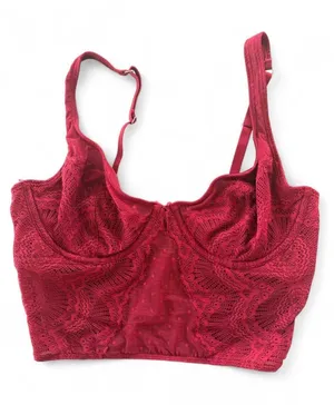 Gilly Hicks Lace Underwire Corset Bralette Mesh Crop Top Burgundy M thumbnail 1