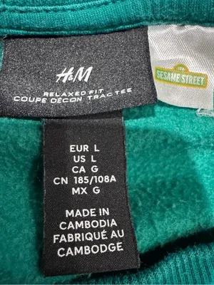 H&M Sesame Street Big Bird Graphic Sweatshirt Green Oversized Large thumbnail 2