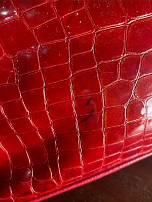 Brighton Chere Red Croc-Embossed Shoulder Bag thumbnail 12