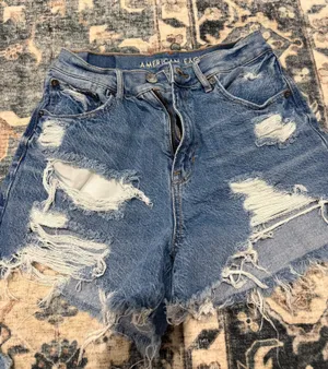 American Eagle Jean Shorts thumbnail 1
