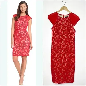 Adrianna Papell Dress Women's Cap Sleeve Red Tonal Piped Lace Knee Length Size 8 thumbnail 2