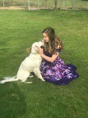 Ellie Wilde Prom Dress thumbnail 7