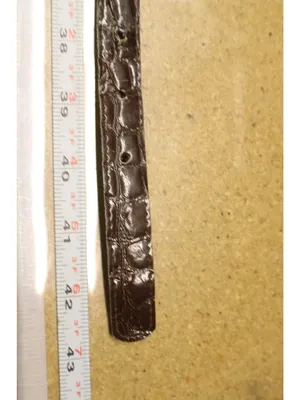 Brown Croc Embossed Vegan Leather Belt -18 Western Y2K Retro Silver Gold Buckle thumbnail 8