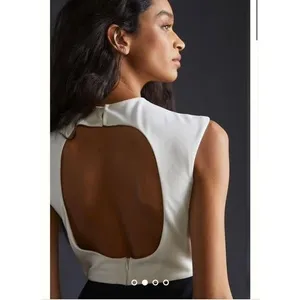 EUC Anthropologie Hutch Open Back Jumpsuit thumbnail 3