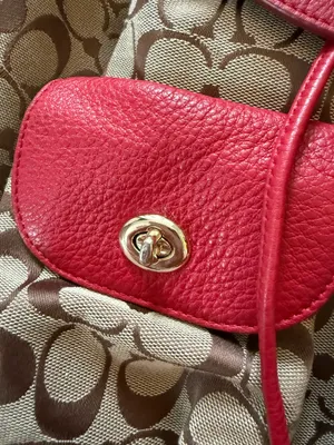 Coach Backpack thumbnail 3