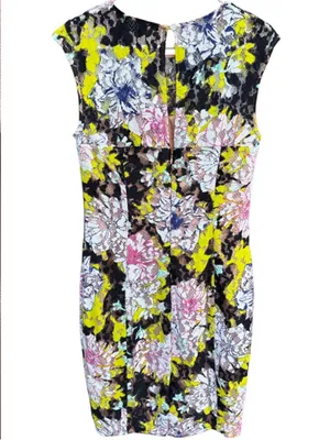 EUC French Connection Botanical Trip Lace Dress Size 8 thumbnail 2