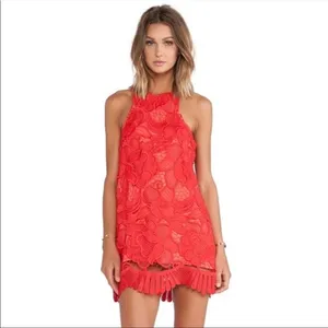 Lovers + Friends Caspian Lace shift dress▪️size S thumbnail 1