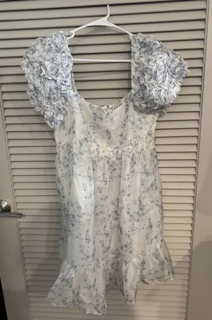 Storia Puff Sleeve Mini Dress thumbnail 1