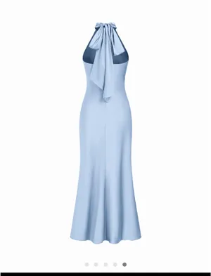 NEW cider dress thumbnail 3