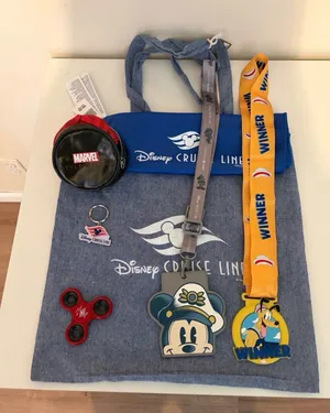 Disney Adventure Exclusive Goodies Bag thumbnail 1