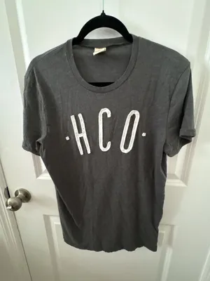 Hollister Co. Dark Gray Graphic Logo T-Shirt Size M thumbnail 2