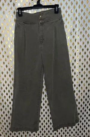 Urban outfitters BDG Wide leg pleated pants green jeans size 2 thumbnail 1