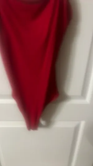 Hollister Red Bodysuit thumbnail 3