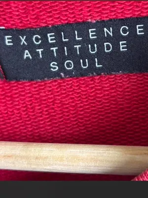 Jordan Red Crewneck Sweatshirt thumbnail 5