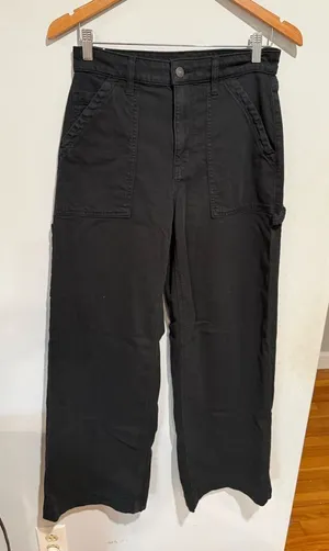 American Eagle Outfitters Men's Dark Cargo Pants size 6 thumbnail 1