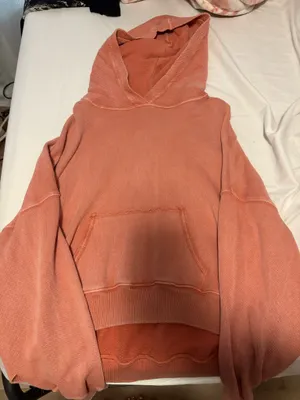 American Eagle Crop Hoodie thumbnail 1