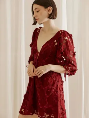 Storia Deep Red Lace V-Neck Eyelet Floral Mini Dress thumbnail 2