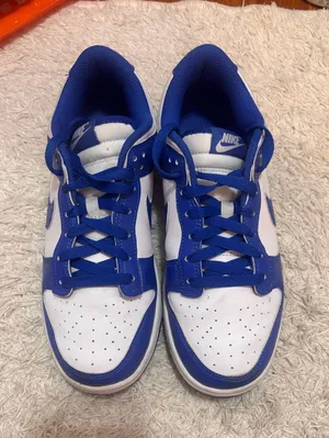 Nike Dunk thumbnail 1