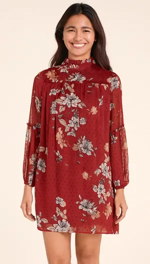 Japna Red Floral Boho Semi Sheer Ruffle Neck Long Sleeve Shift Dress Size Small thumbnail 1