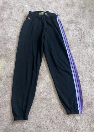 Aviator Nation Black and Purple 5 Stripe Sweatpants thumbnail 1
