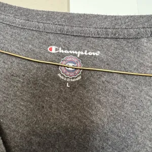 Champion Gray Rocky Mountain College Short Sleeve Tee thumbnail 2