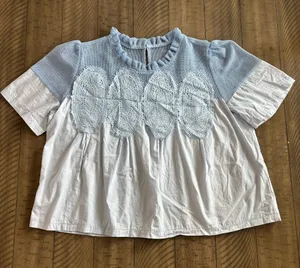 Lace Trim Short Sleeve Blouse Swing Crew Neck Ruffle Hem Blouse thumbnail 1