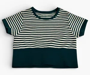 Aerie Green and White Striped Crop Tee thumbnail 1