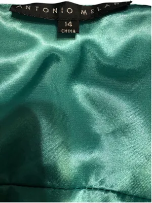 Antonio Melani SILK Sea-foam Dress Size 14 thumbnail 6