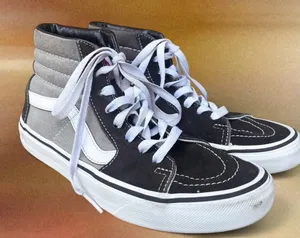 Sk8-Hi Top Pro Sneakers thumbnail 1