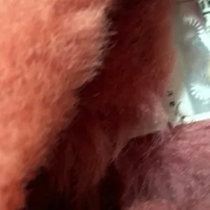 UGG Pink Boots Size 5 thumbnail 9