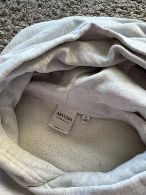 Aritzia Sweatshirt thumbnail 3