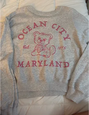 Hollister Crewneck Sweatshirt Grey thumbnail 1