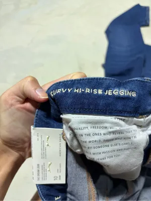 American Eagle Outfitters NWT curvy hi-rise jegging dream Jean 10 long thumbnail 6